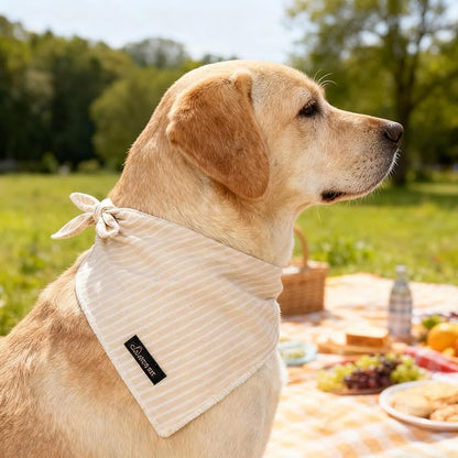 ARING PET Summer Dog Bandana-Cute Khaki Dog Bandanas, Comfortable Pet Scarf - Image 4