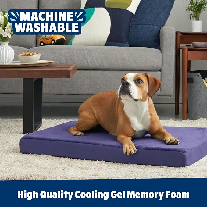 Barkbox Orthopedic Dog Bed | Comfortable Memory Foam Mattress - Image 5