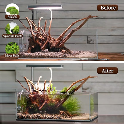 majoywoo Natural Large Driftwood - Image 5