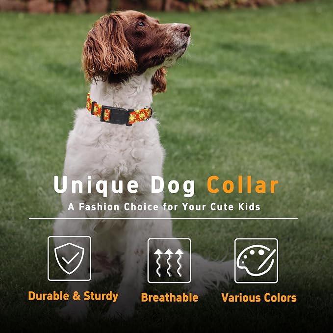 Dog Collar, Classical Indian Spirit Boys Girls Puppy Collar - Image 5