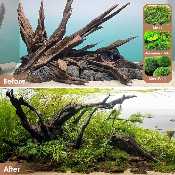 Jorewood Natural Aquarium Driftwood - Image 7