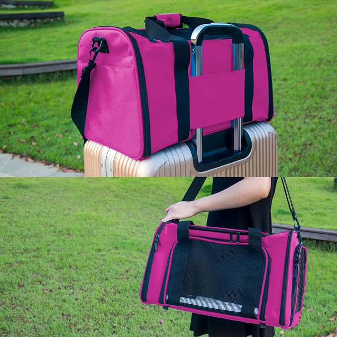 Soft Sided Carrier for Small Medium Cats Dogs, Removable Pad Collapsible Travel - Image 6