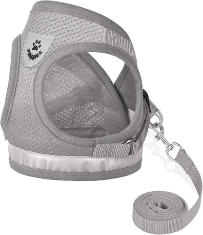 Cat Harnesses and Puppy Harness by GAUTERF