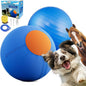 ZIDA 18" Herding Ball for Dogs and Horses by Unknown