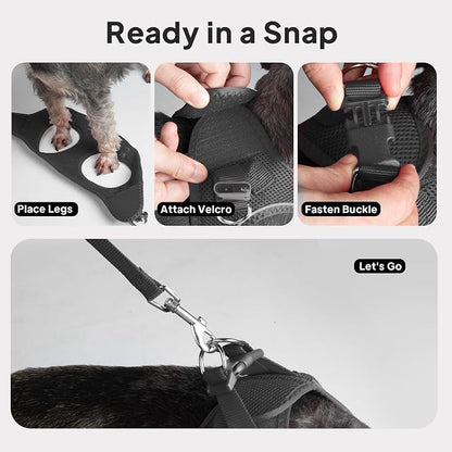 PetiFine Step in Small Dog Harness and Leash Set, Breathable All Weather Air - Image 9