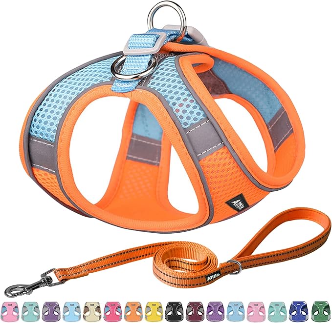 AIITLE Easy Walk Dog Harness and Leash Set by AIITLE-FORPETSBETTERLIFE