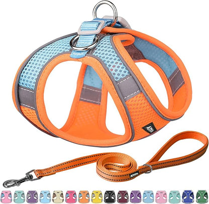 AIITLE Step in Dog Harness and Leash Set by AIITLE-FORPETSBETTERLIFE