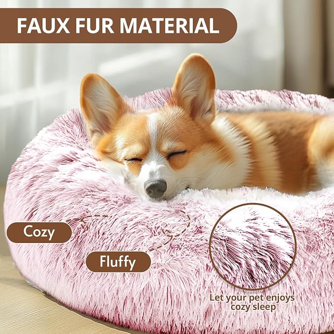JOLLYVOGUE Calming Dog Bed for Small Dogs - Image 2