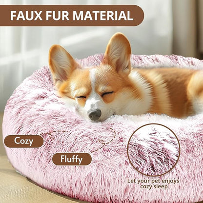 JOLLYVOGUE Calming Dog Bed for Small Dogs - Image 2