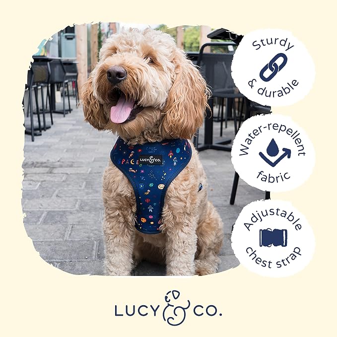 Lucy & Co. Cute Reversible Dog Harness Walking Halter - Image 4
