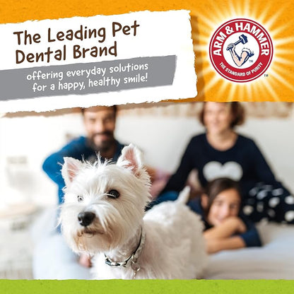 Arm & Hammer Nubbies Duality Bone, A Dental Chew Toy - Image 7