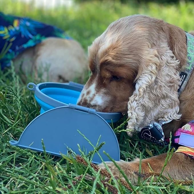 Loving Pets - Bella Roma Portable Travel Dog Bowl Collapsible Dog Food & Water - Image 8