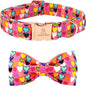 Lionheart glory Valentine's Dog Collar, Dog Collars by LionheartGlory