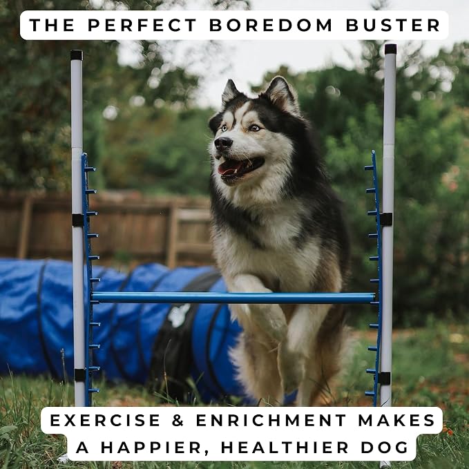 Better Sporting Dogs 4 Pack Adjustable Dog Agility Bar Jumps w/Cup Strips | - Image 6