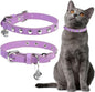 EXPAWLORER Leather Cat Collar for Girl Boy- Adjustable Pet Collar by EXPAWLORER
