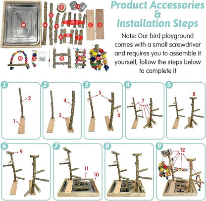 PINVNBY Bird Playground Natural Wood Parrot Perch Stand Bird Play Gym Colorful - Image 5