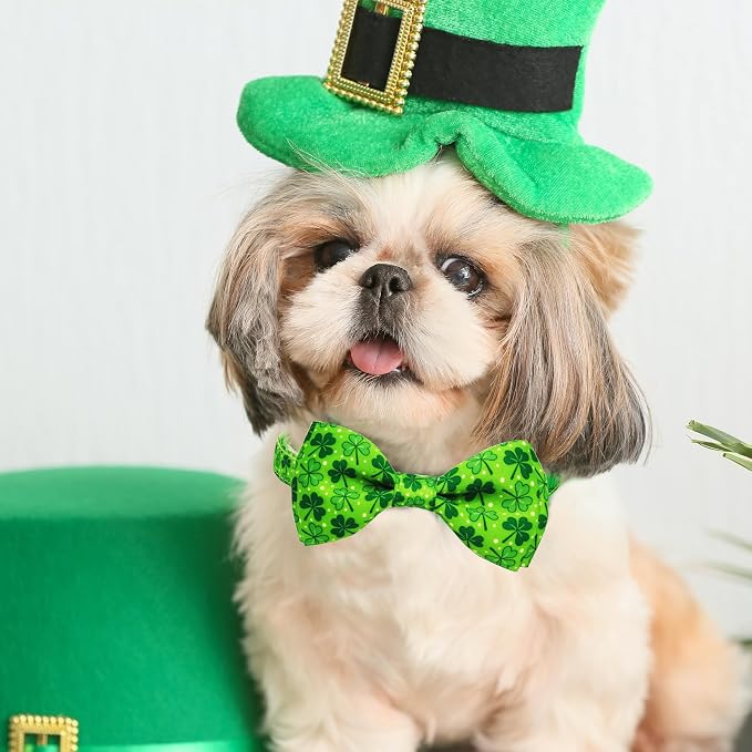 St. Patrick's Day Dog Collar - Image 4