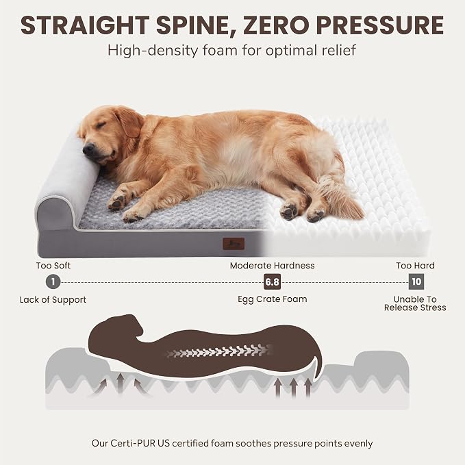 Large Dog Beds Large Sized Dogs 45x35x7 Inch, Orthopedic XXL XL Dog Bed - Image 2