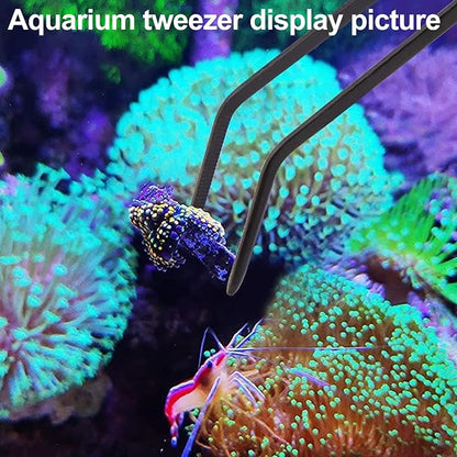 Coral Reef Grabber, Coral Feeder, Aquarium Veggie Feeder, Fish Tank Food Clip - Image 4