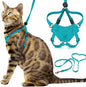 Houdini™ Escape Proof Cat Harness and Leash Set by OutdoorBengal – Turquoise by OutdoorBengal