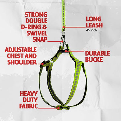 Filbert Cat Harness and Leash Set - Image 5