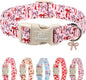 Girl Dog Collar for Medium Dogs by Babolepet
