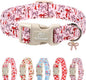 Girl Dog Collar for Large Dogs by Babolepet