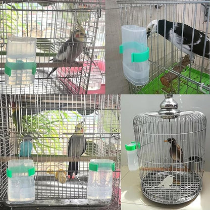 Automatic Bird Water Dispenser Parrot Water Feeder Bird Seed Food Container - Image 4
