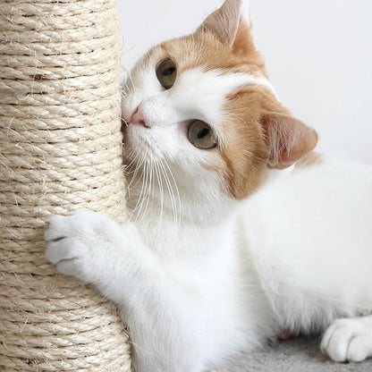 4-Tier Round Cat Tower - Image 5