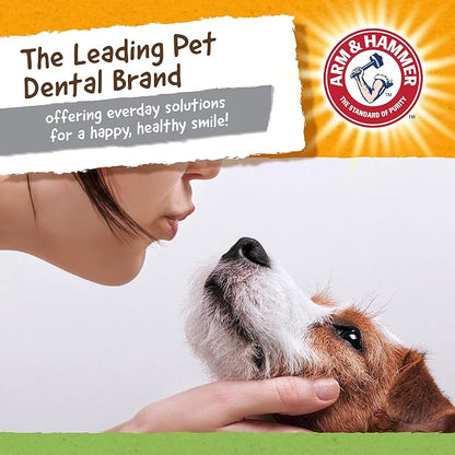 Arm & Hammer for Pets Nubbies Dental Toys T-Rex Dental Chew Toy for Dogs Best - Image 8
