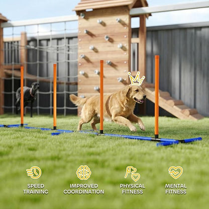 PawHut Adjustable Dog Agility Training Equipment, Dog Agility Course Backyard - Image 6