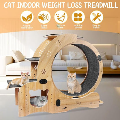 6-in-1 Cat Exercise Wheel - Image 4