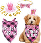 Weewooday Dog Birthday Party Supplies Birthday Boy Girl Cake Bandana Triangle by Weewooday