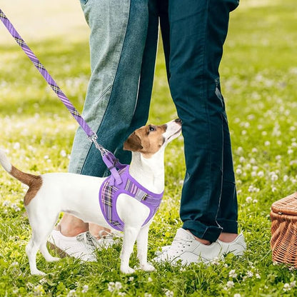 PUPTECK Adjustable Dog Harness Collar and Leash Set Step in No Pull Pet Harness - Image 6