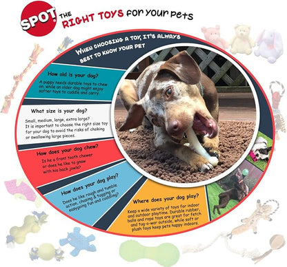 SPOT Play Strong Bone- Durable TPR Long Lasting Dog Chew - Image 7