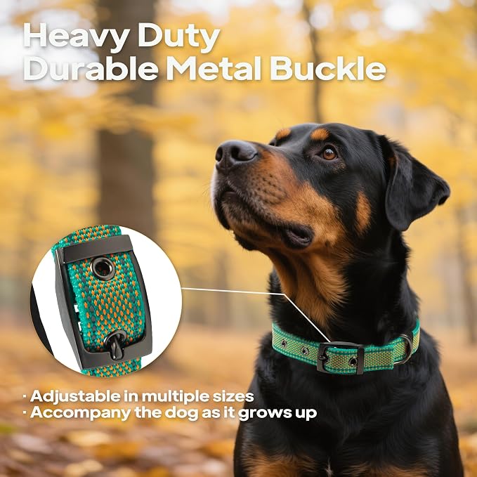 PetiFine Dog Collar for Large Dogs, Neoprene Padded and Adjustable, Reflective - Image 2