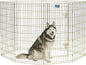 MidWest Homes for Pets Folding Metal Dog Exercise Pen, Indoor/Outdoor Playpen by MidWestHomesForPets