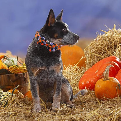 Halloween Dog Collar, Pet Collar Bow Plaid Pet Collars Girl Boy Holiday Pet - Image 6