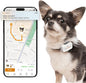 Pawfit Lite for Small Dogs 4g GPS Tracker | Real Time Tracking | Activity by Pawfit