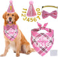 STMK Dog Birthday Outfits by STMK
