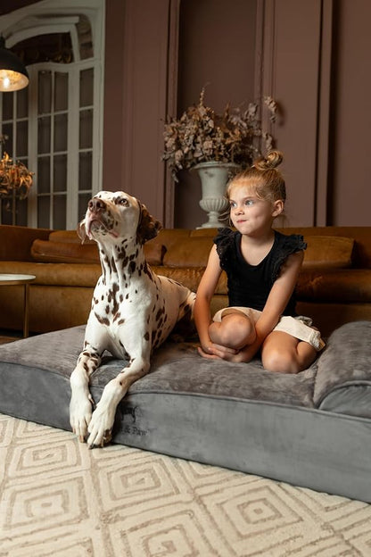 NOAH & PAW XL Dog Bed, Orthopedic Large Dog Beds, Eggshell Memory Foam Infused - Image 2