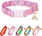 Cute Dog Collar Rainbow Pattern by Raisingwell