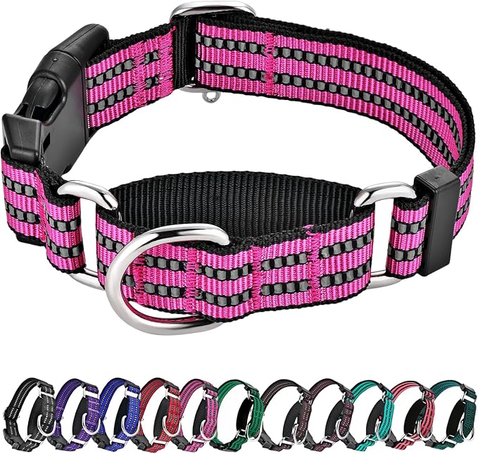 Hikiko Martingale Dog Collars Reflective Nylon Puppy Dog Collar by Hikiko