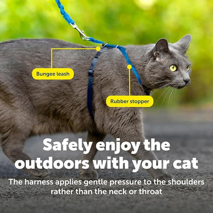 PetSafe Come With Me Kitty Cat Harness & Bungee Leash - Image 5