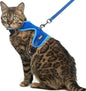 PUPTECK Cat Harness and Leash Set Escape Proof, Reflective Adjustable Soft Mesh by PUPTECK