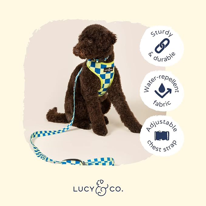 Lucy & Co. Lime Green with Blue Checker Smiley Faces, Cute Reversible Dog - Image 6