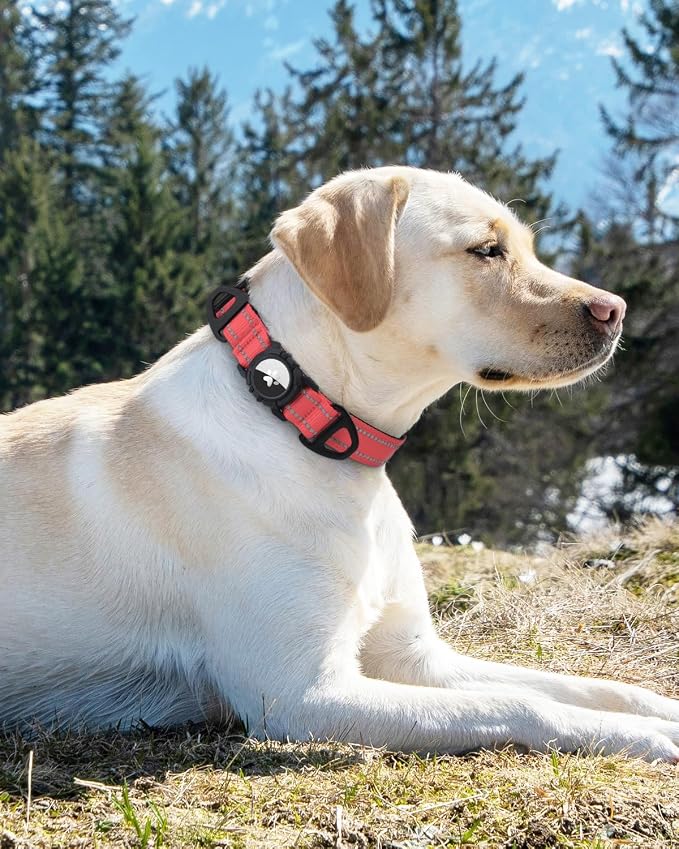 Joytale Airtag Dog Collar, Reflective Pet Collar - Image 7