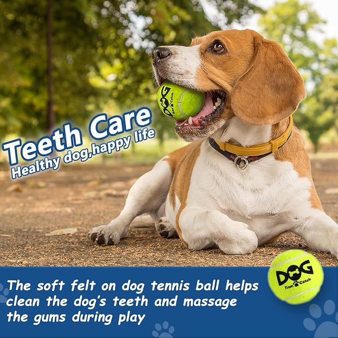 Tennis Balls for Dogs - Image 3