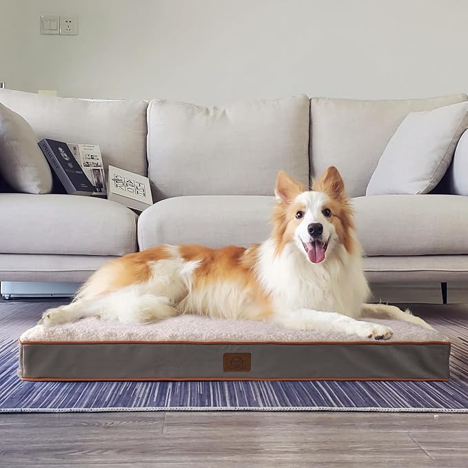Orthopedic Dog Bed for Large Dogs - Image 7