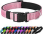 Reflective Dog Collar Padded by Penseepet